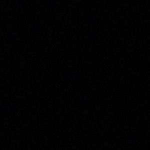 Meet your Posher, Savannah